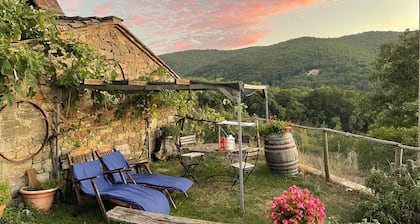 Farmhouse 15th century in Chianti with garden between Florence and Siena