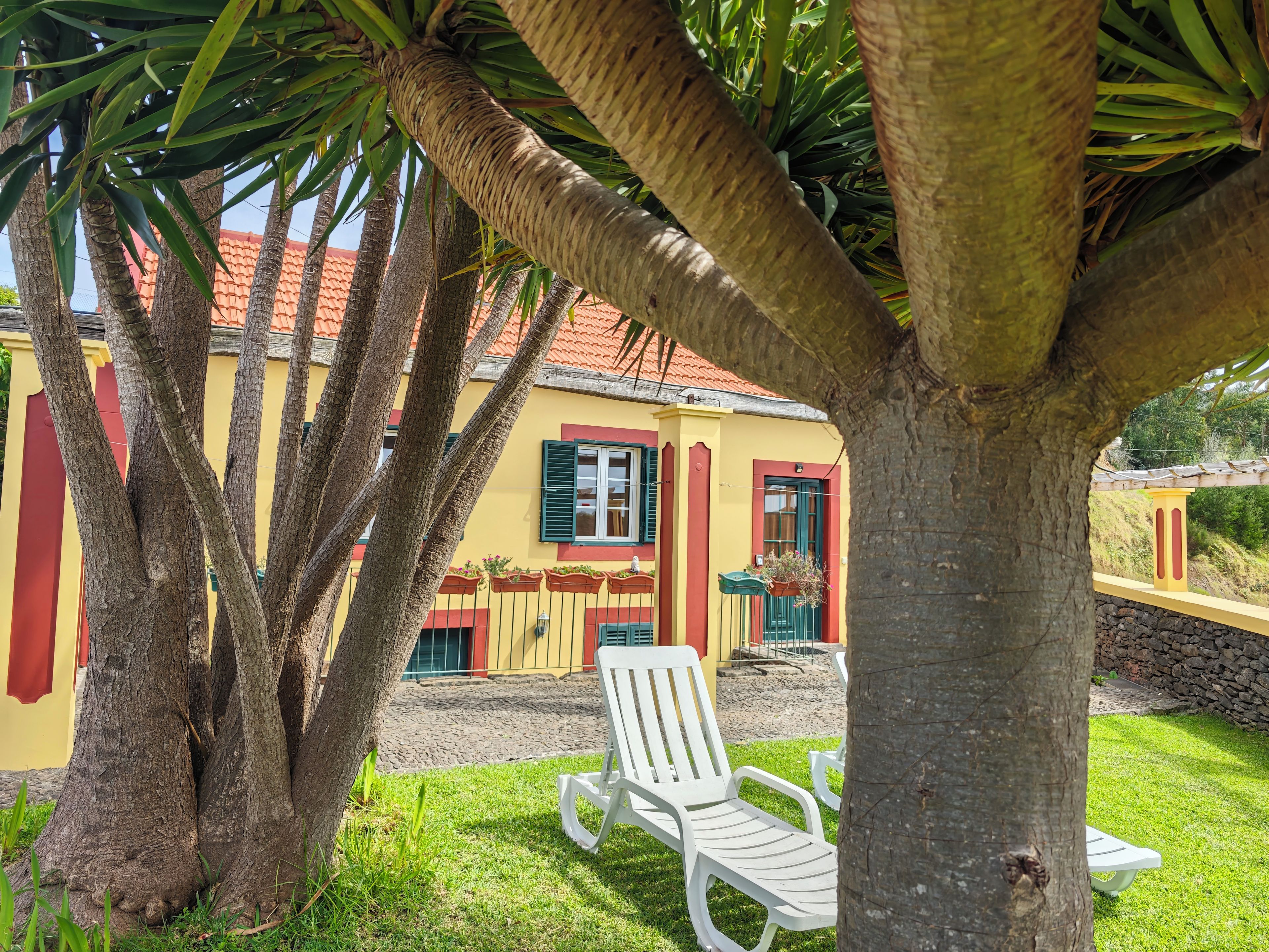 A yellow building with red trim, a white chair, and a palm tree in the foreground.