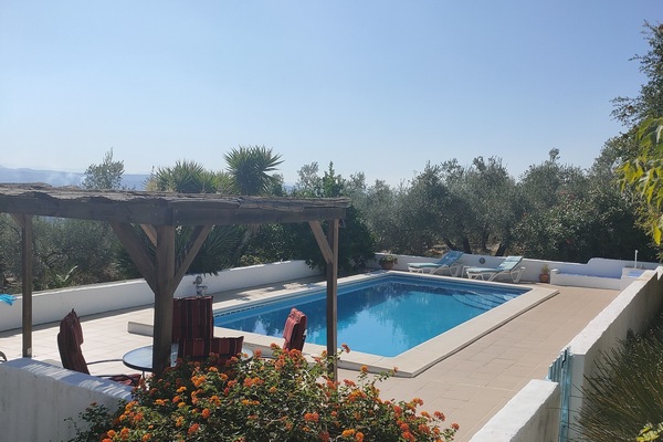 Pool and terrace