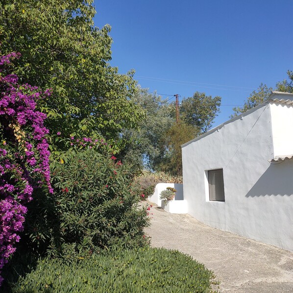 A white building with a small window, surrounded by lush greenery and purple flowers.