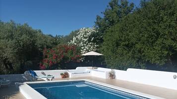 A rectangular swimming pool with a tiled edge, surrounded by a white wall and a tiled deck.