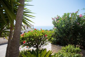 Property grounds - Two rooms sea view, wi-fi, 250 meters from the sea, kitchenette, campoTennis / Football (Sciacca)