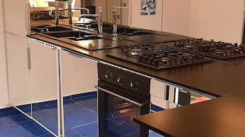 Fridge, oven, stovetop, dishwasher