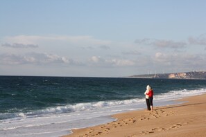 Plage à proximité, chaises longues, serviettes de plage