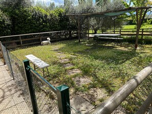 Outdoor dining - One Bedroom Apartment   for 2/4 people (Gemini) (assisi)