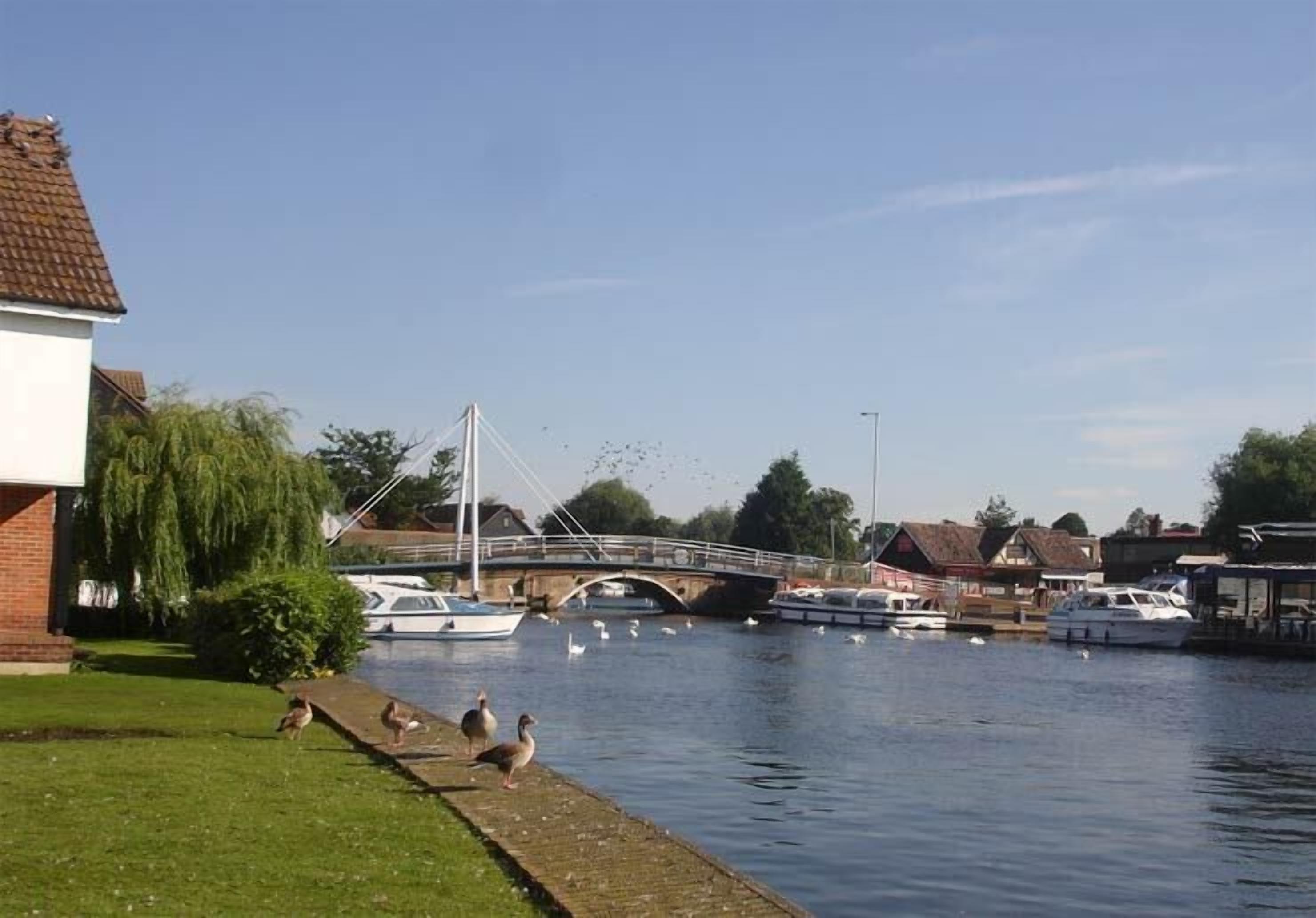 A riverside view with a bridge, boats, and ducks on the bank.