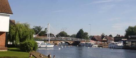 A riverside view with a bridge, boats, and ducks on the bank.