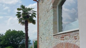 A modern building with a stone facade, a large window, and a palm tree in the foreground.
