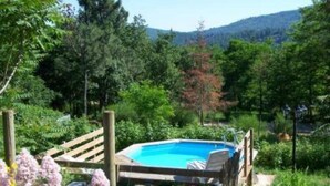 Una piscina rectangular rodeada de abundante vegetación y una terraza de madera.
