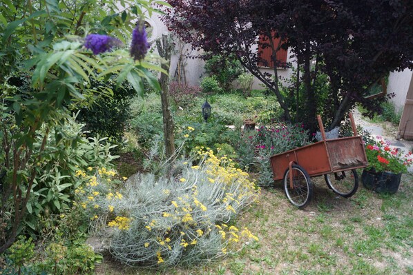 A garden with various plants and a wheelbarrow. - house / villa - 2 rooms - 2/4 persons (Joannas)