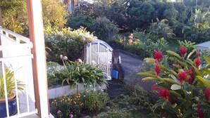Un giardino con diverse piante e fiori, un cancello bianco e una struttura blu.