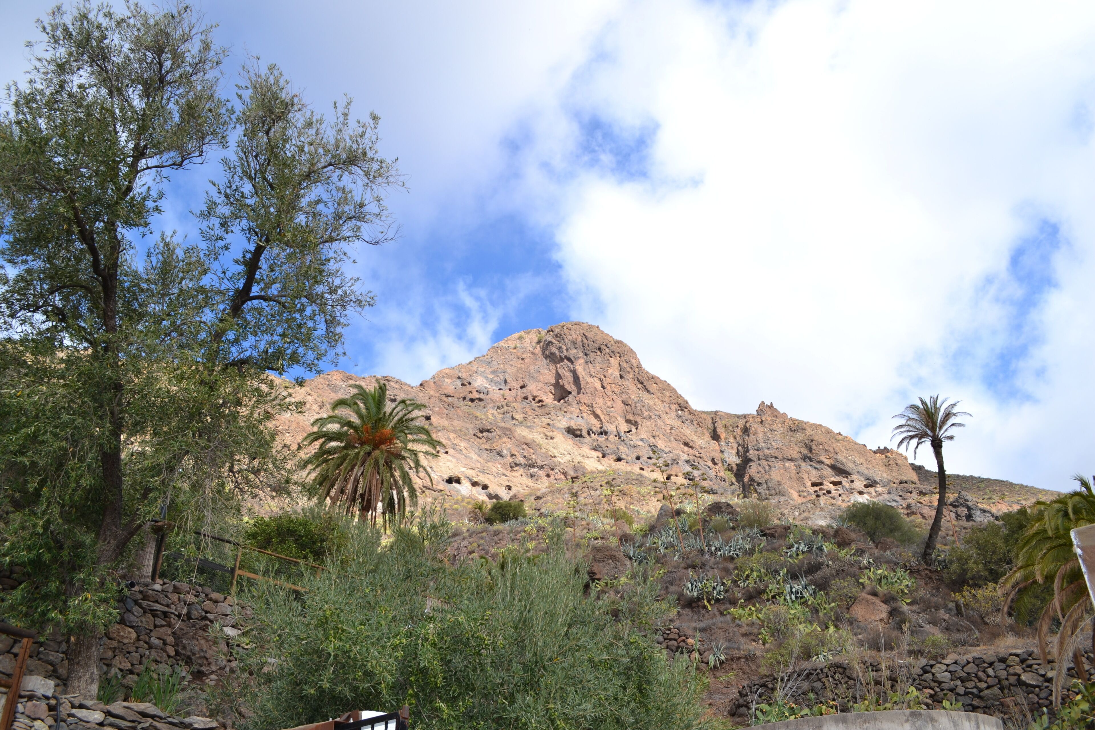 A mountainous landscape with sparse vegetation and a clear sky.