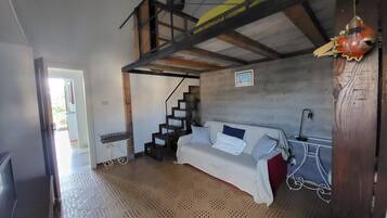 Televisión, reproductor de DVD, libros y biblioteca musical