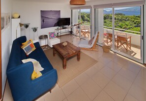 Smart TV, books, stereo