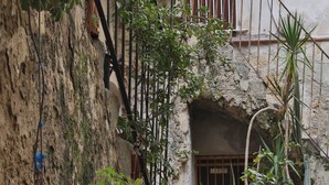 Un patio con macetas, una jardinera de piedra grande y un muro rústico.