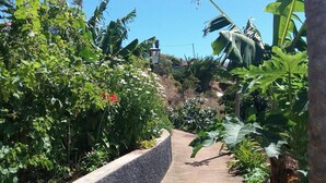 A pathway lined with lush greenery and banana plants, leading up a slope. - Sidewalk Cottage (Caniço)