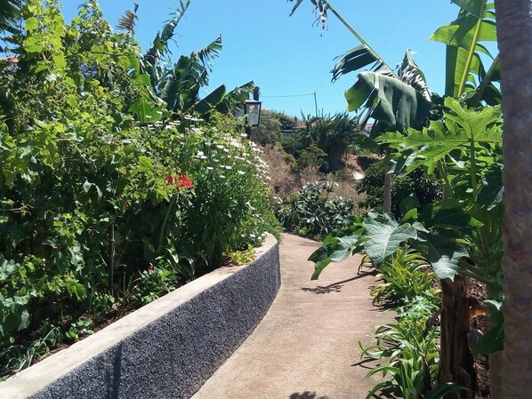 Property grounds - Sidewalk Cottage (Caniço)