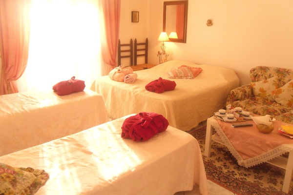 1 bedroom, iron/ironing board, bed sheets