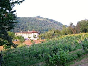 Parco della struttura