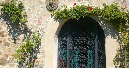 Schöne Wohnung in einem Bauernhaus in absoluter Entspannung in der Nähe von Lucca, Toskana