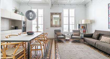 Impressive modernist apartment 20 mtrs from Paseo de Gracia
