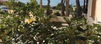 Between sea and nature, in an open-air museum