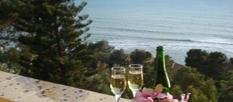 VILLA WITH LARGE TERRACES AND GARDENS WITH SEA VIEW