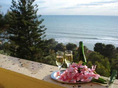 VILLA WITH LARGE TERRACES AND GARDENS WITH SEA VIEW