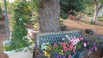 Terrein van de accommodatie