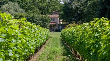 Áreas de la propiedad