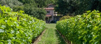 Concara | Pian della Chiesa - nature, wine, paths, sea and shared pool