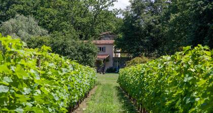 Pian della Chiesa, Concara - nature, vin, sentiers, mer et piscine partagée