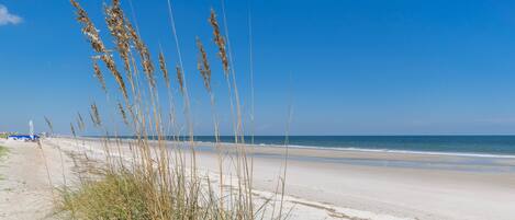 On the beach, sun-loungers, beach towels