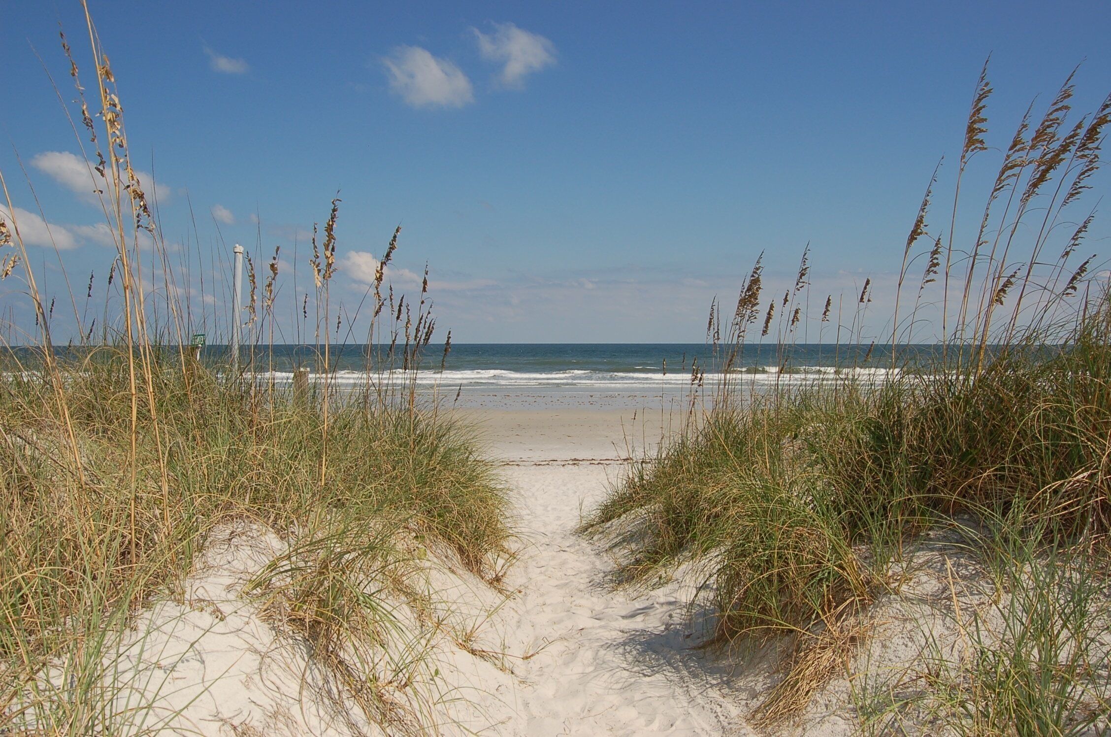Een strandpad dat naar de oceaan leidt, omringd door hoge graslanden.