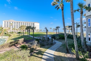 A hotel with a large building, palm trees, and a pathway.