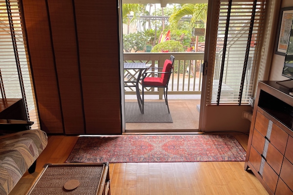 Peek-a-boo Ocean View from inside the condo