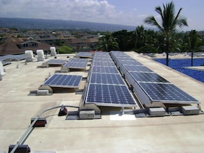 Enjoy the rooftop views surrounded by lush palm trees and sustainable energy solutions.