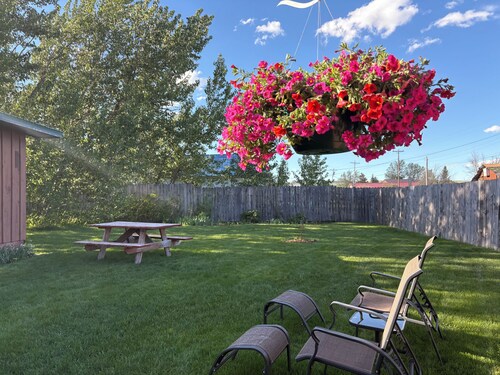 Aspen Cabin: New porch entry & ceilings. Comfortable, large yard, mountain view.