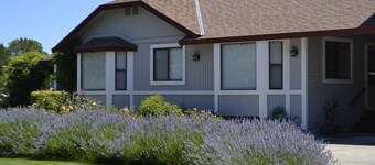 Soleggiato View Cottage nella Bella Wine Country