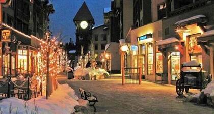 4 min à pied du village / télécabine JACUZZI / SAUNA / PING PONG