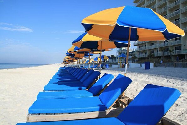 Una playa con filas de sillas azules y sombrillas amarillas y azules.