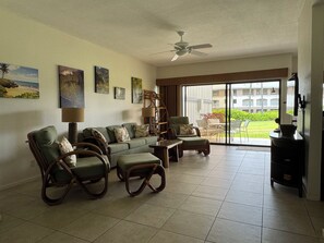 Smart TV, DVD player, books, video library