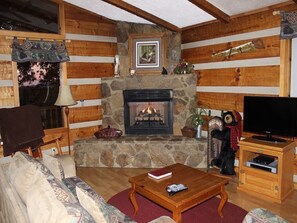 Smart TV, fireplace, DVD player, video library