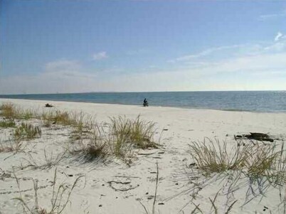 Beach Front Dauphin Island  - Large Condo Sleeps 6 Dauphin Surf Club