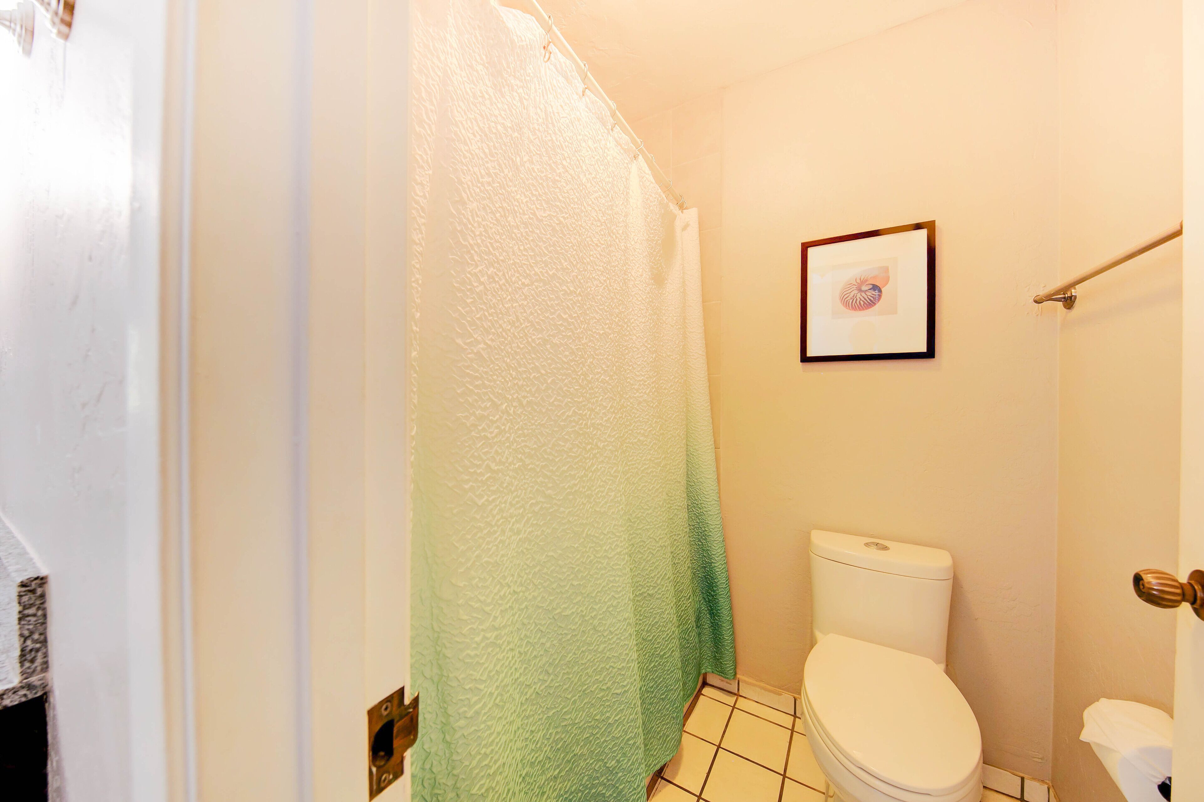 Une salle de bain avec des toilettes blanches, un rideau de douche vert et un tableau encadré accroché au mur.