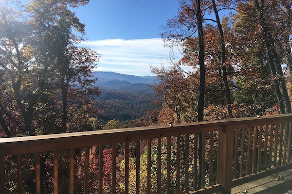 Fall view