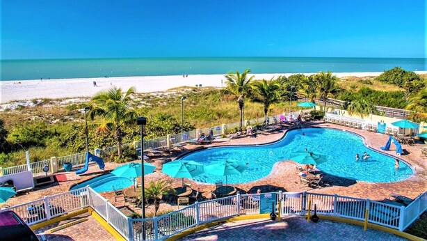 A pool area with a curved design, surrounded by palm trees and beach views.