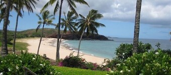 "Must Visit" Ocean View Peaceful Retreat