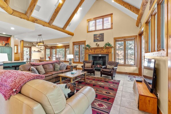 Smart TV, fireplace, DVD player, books