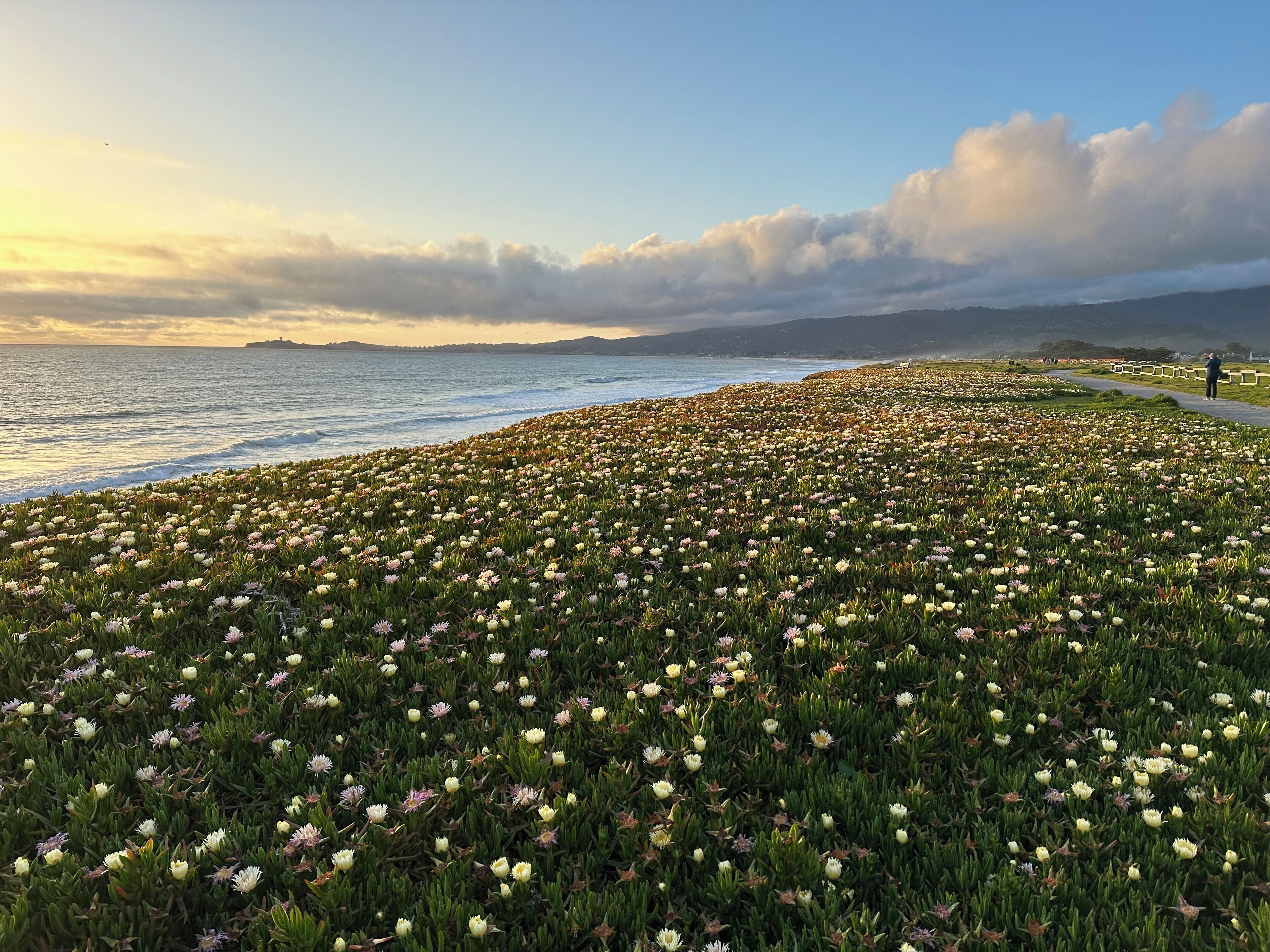Ranta lähistöllä, rantapyyhkeitä